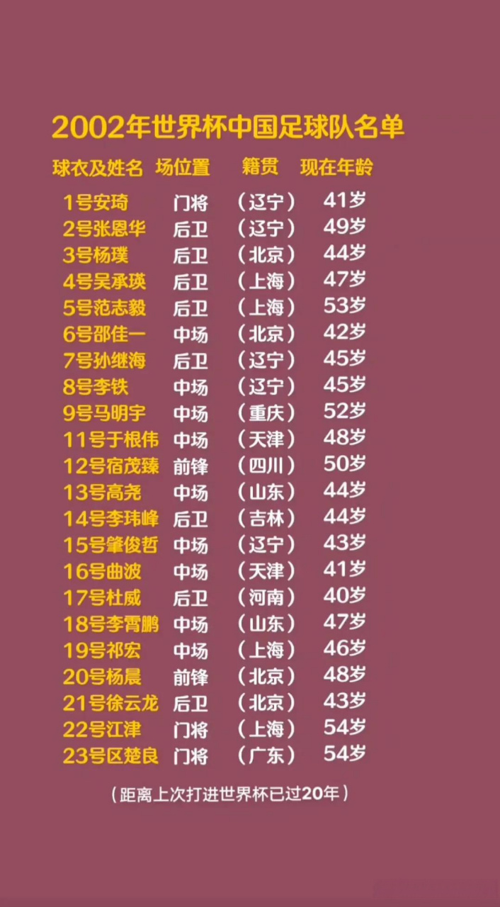 2002世界杯十强赛中国队名单，那一年，我们离梦想最近
